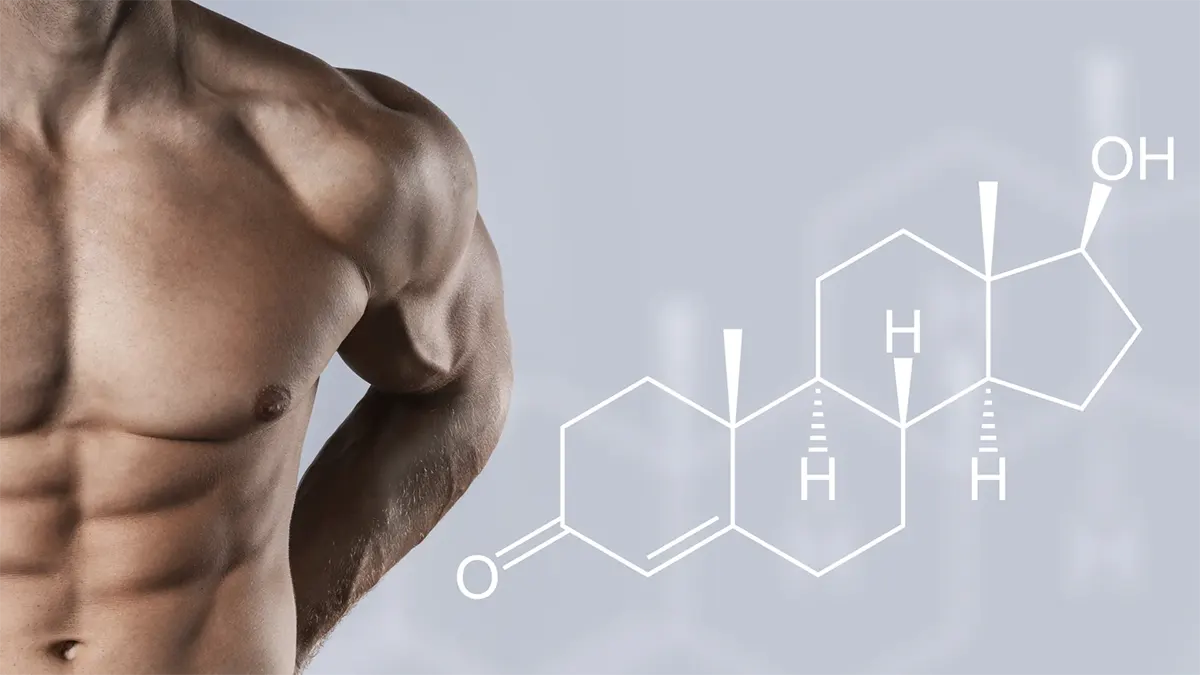 مضرات و فواید بدنسازی و راهنمای حرفه ای شدن در آن